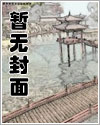 抗日之痞子将军 小说